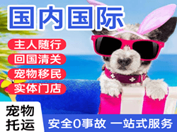 静巴音布鲁克机场物流国际宠物托运 【国